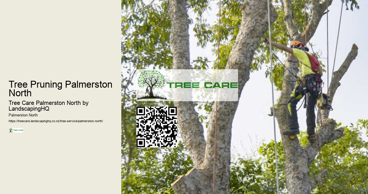 Certified Arborist Palmerston North