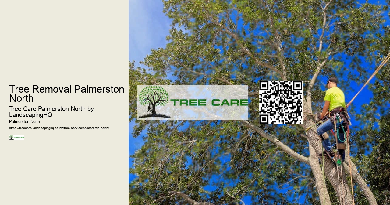 Tree Removal Palmerston North