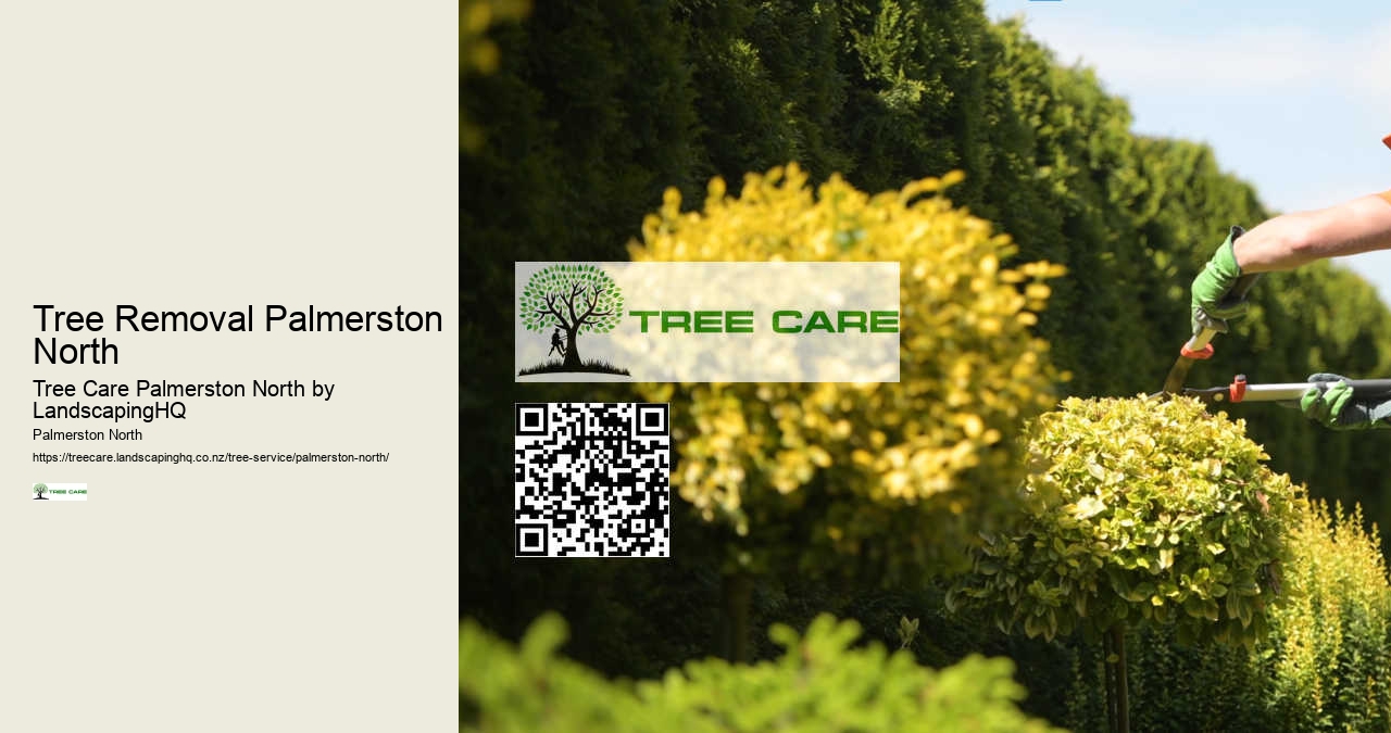 Professional Hedge Trimming Services Palmerston North