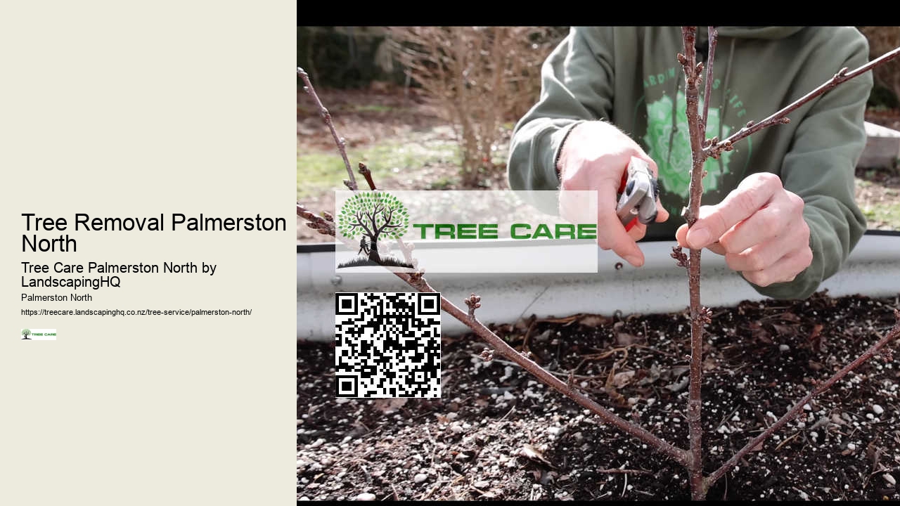 Comprehensive Tree Services Palmerston North