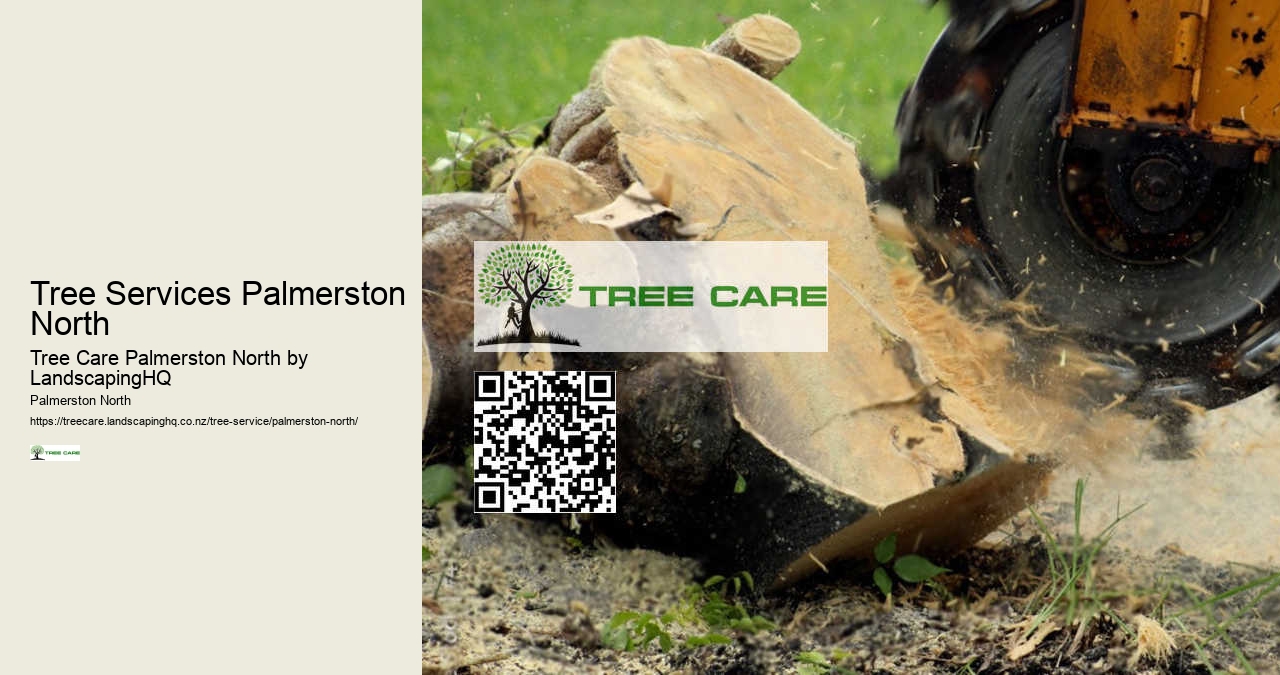 Best Tree Care Company Palmerston North