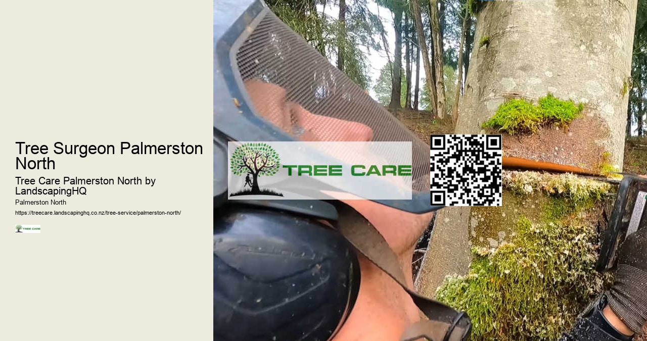 Tree Surgeon Palmerston North