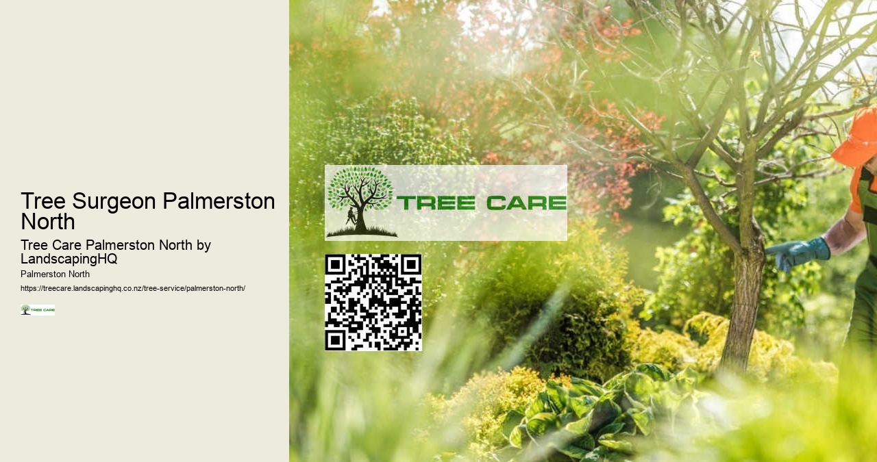 Residential Arborist Palmerston North