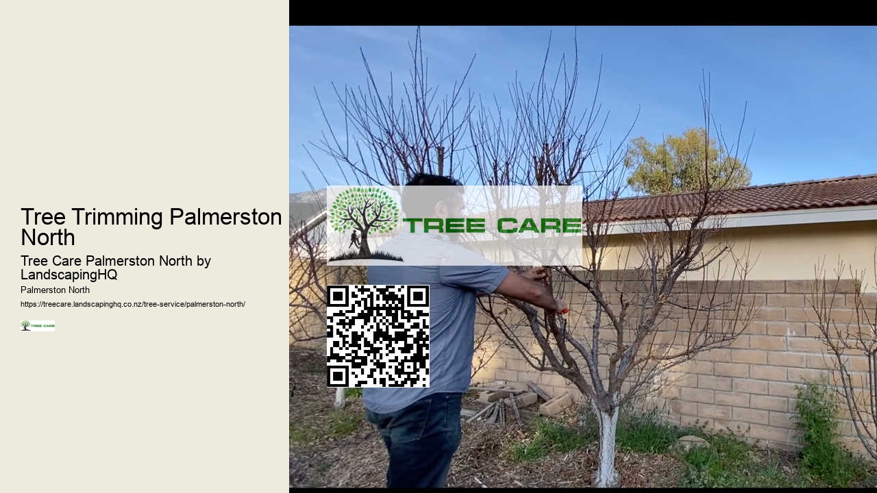 Local Arborist Palmerston North