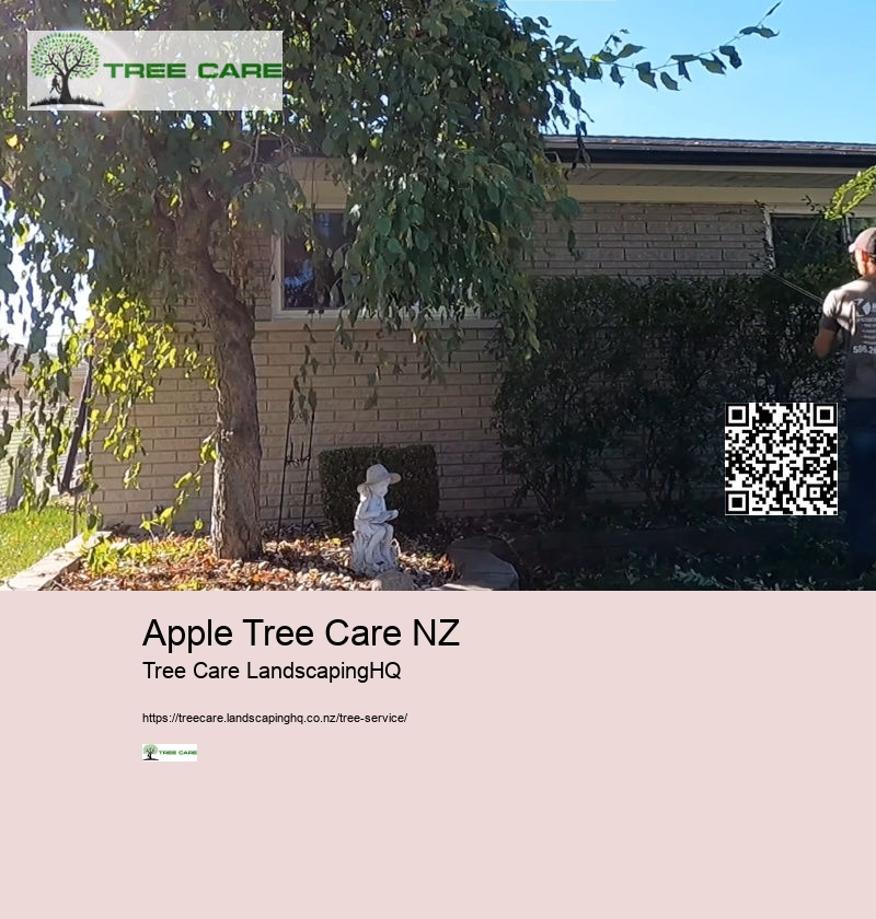 Arborist Whangarei