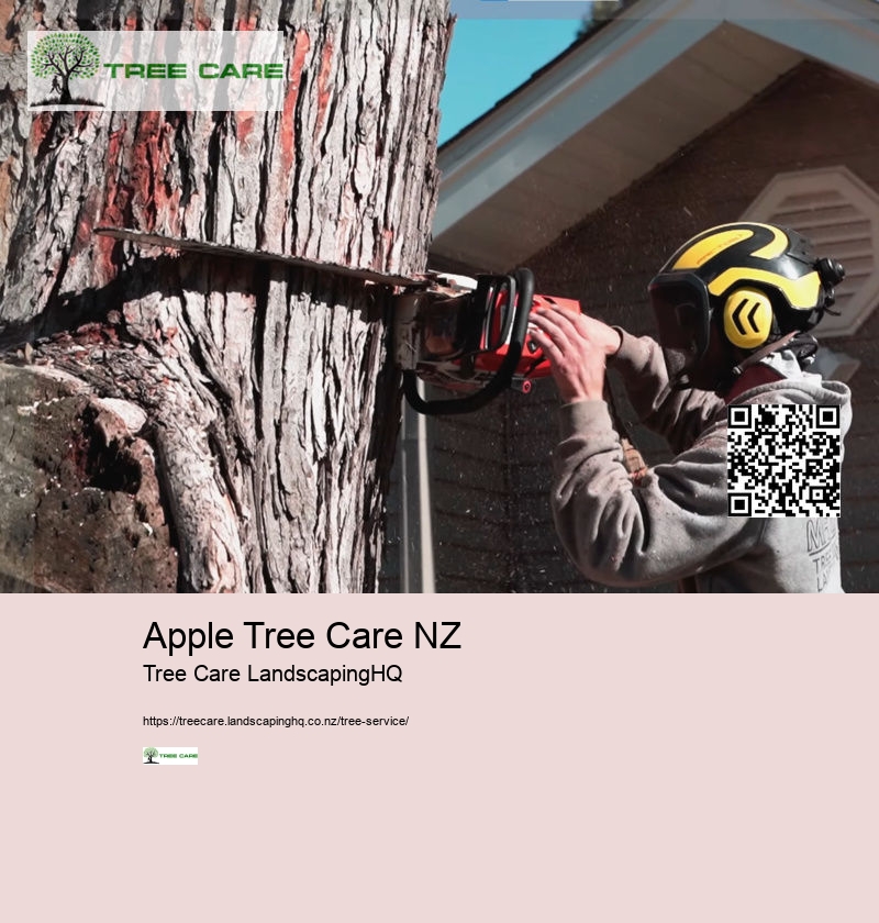 Arborist Hawkes Bay