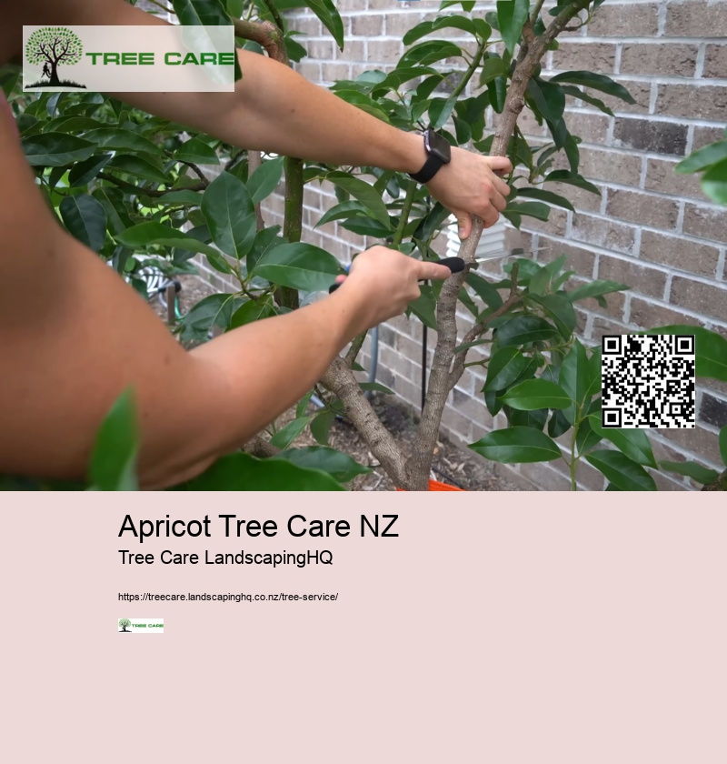 Tree Removal Christchurch NZ