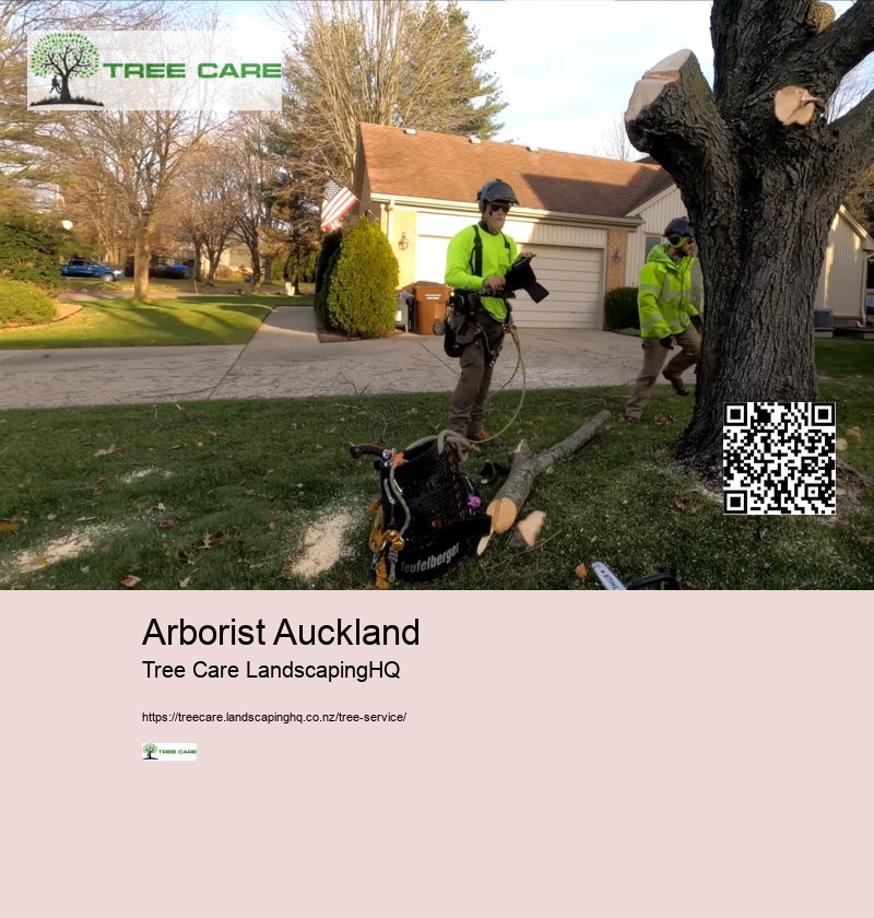 Lime Tree Care NZ