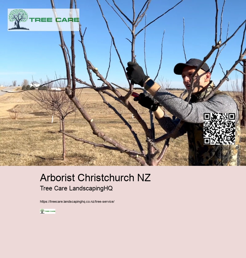 Arborist Christchurch NZ