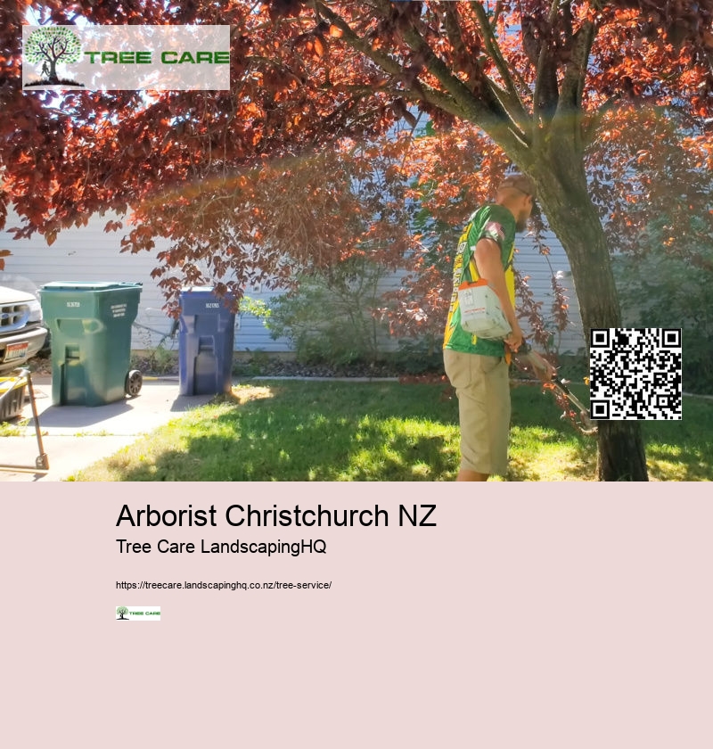 Trimming Trees In NZ