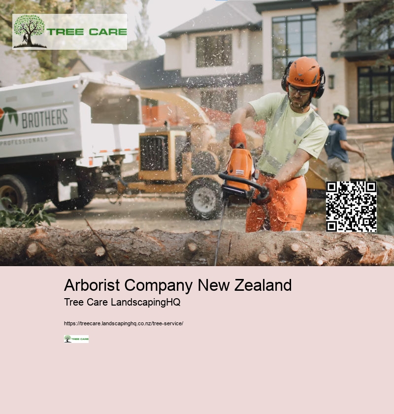 Arborist Whakatane