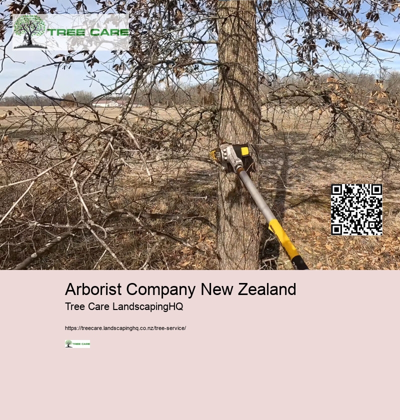 Land Clearing NZ