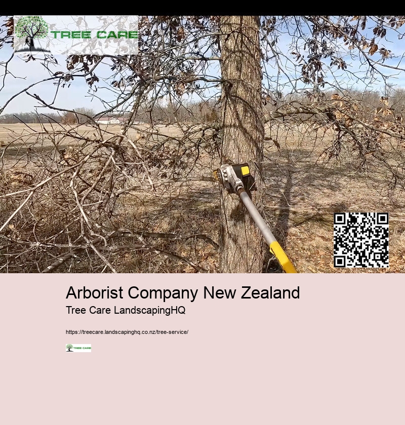 Arborist Company New Zealand