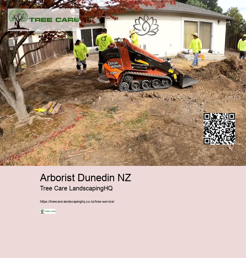 Tree Removal West Auckland