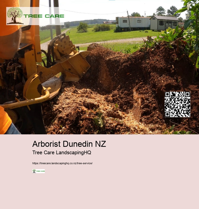 Arborist Hamilton NZ