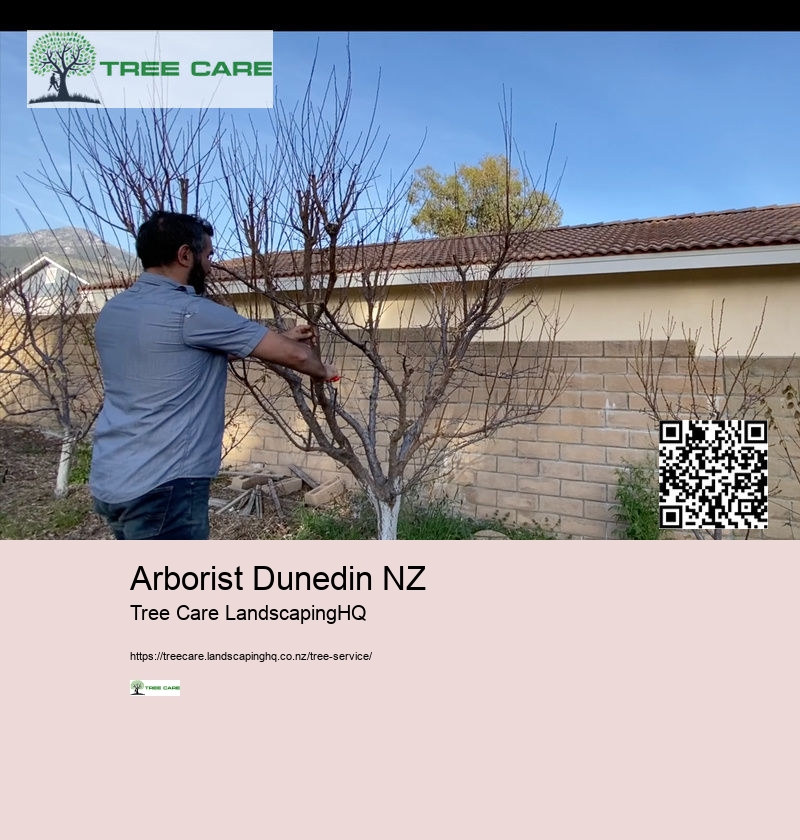 Arborist Dunedin NZ