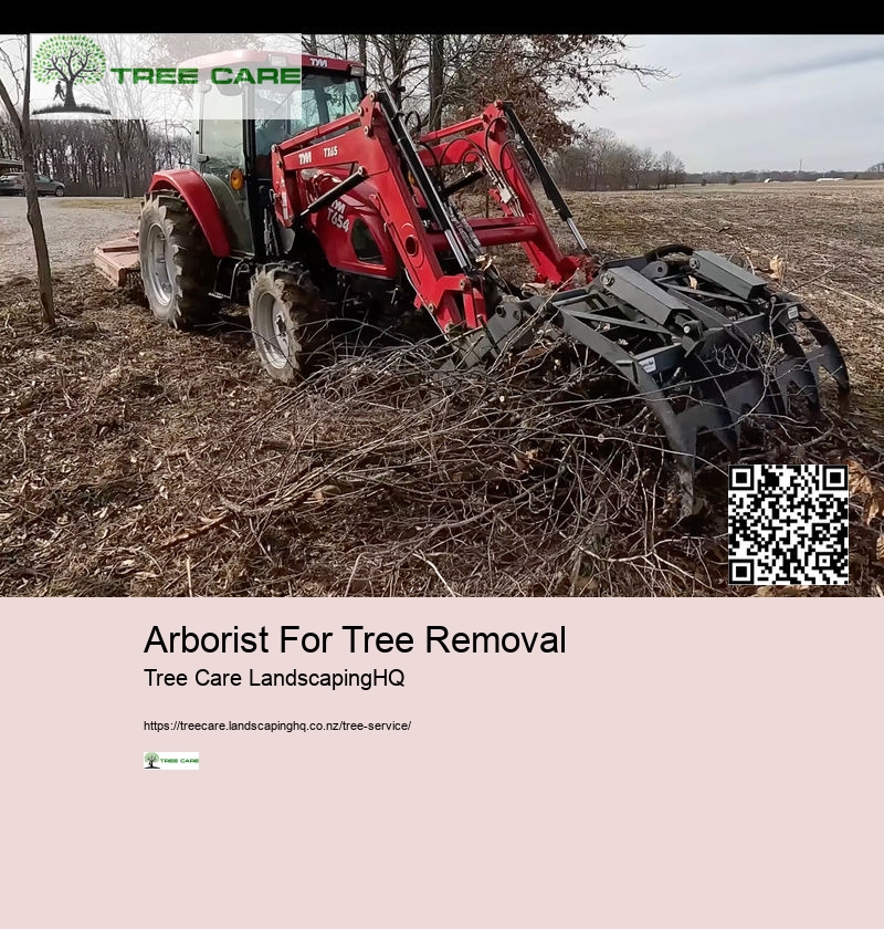 Arborist For Tree Removal