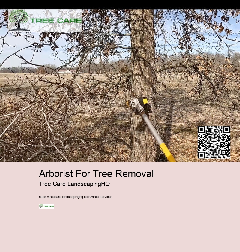 Arborist Hamilton New Zealand