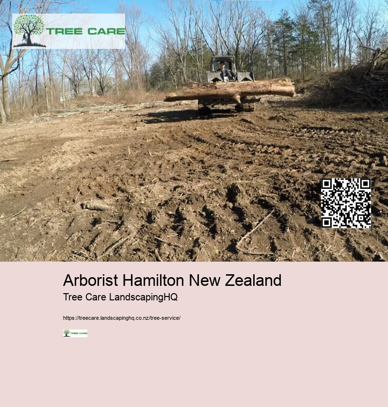 Arborist Hamilton New Zealand