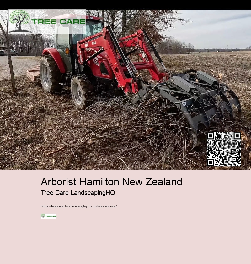 Arborist New Plymouth