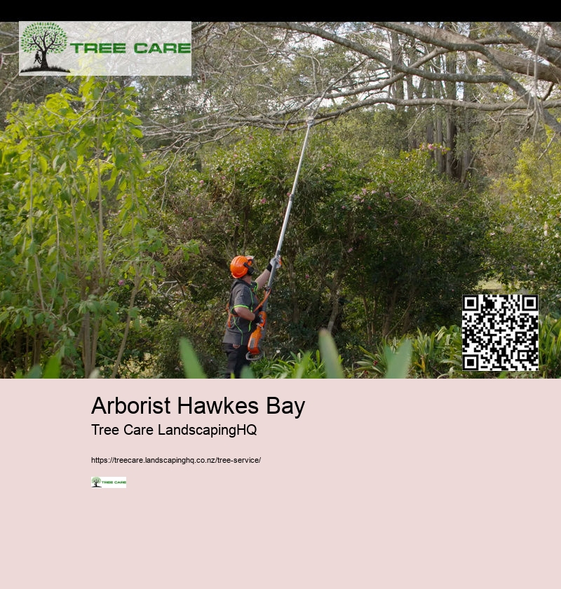 Arborist Hawkes Bay