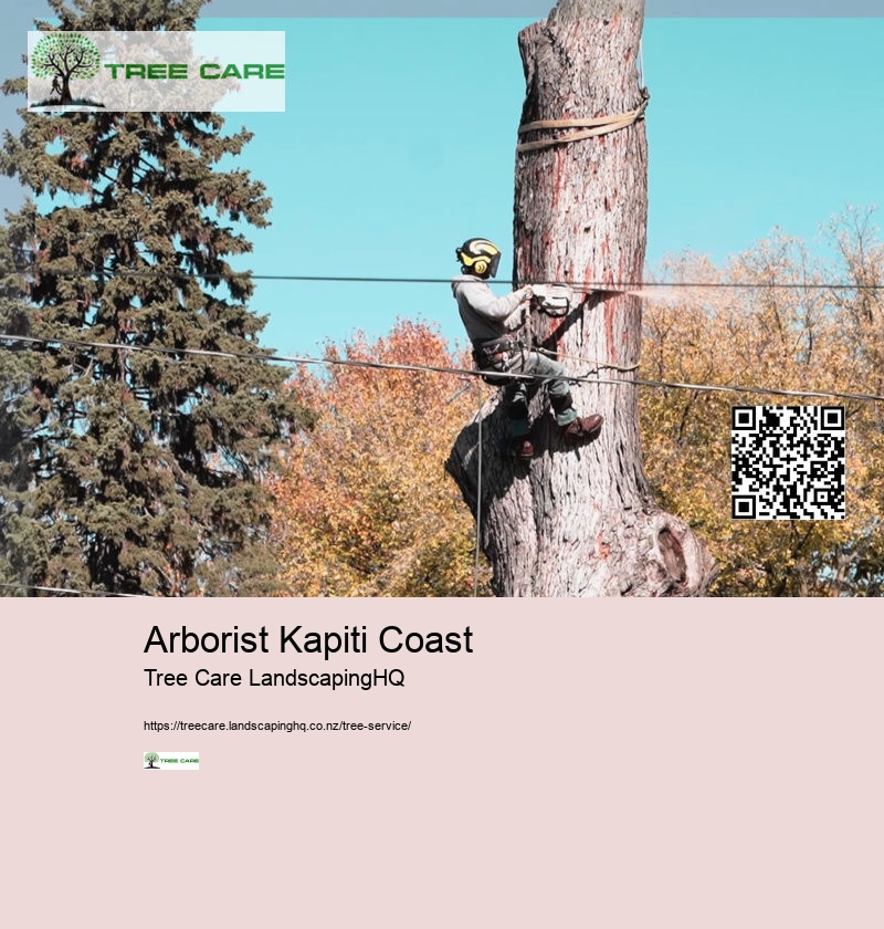 Arborist Kapiti Coast