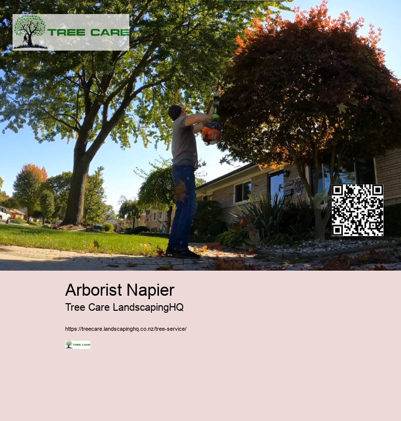 Arborists Nelson