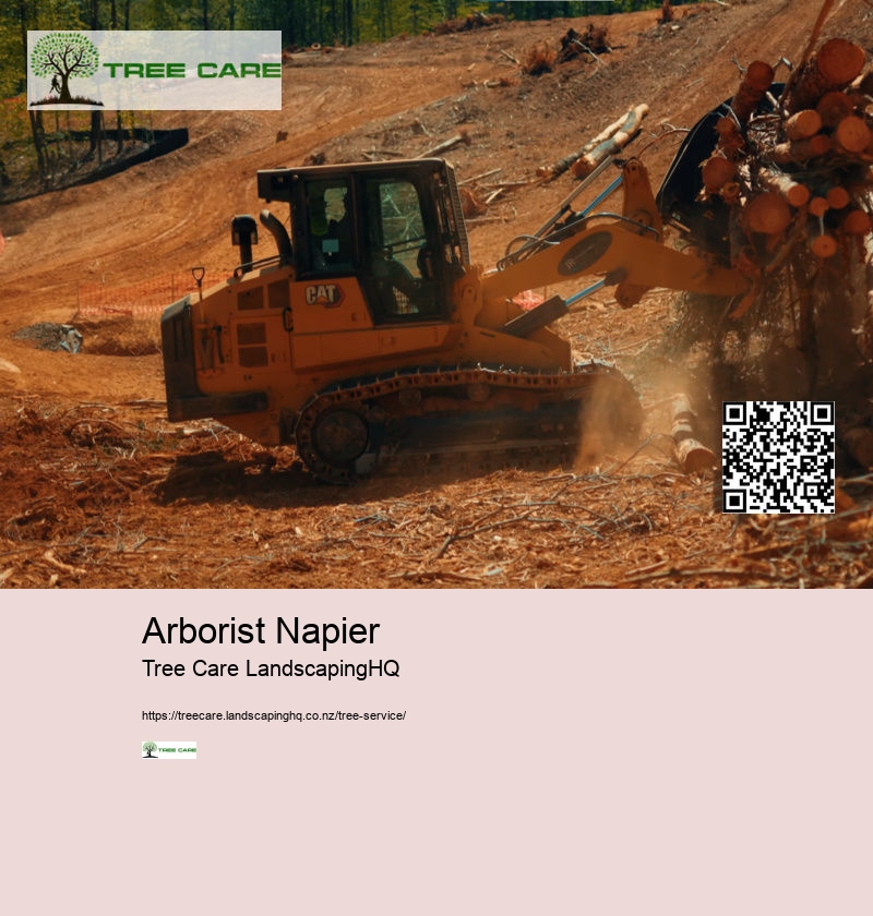 Arborist Napier