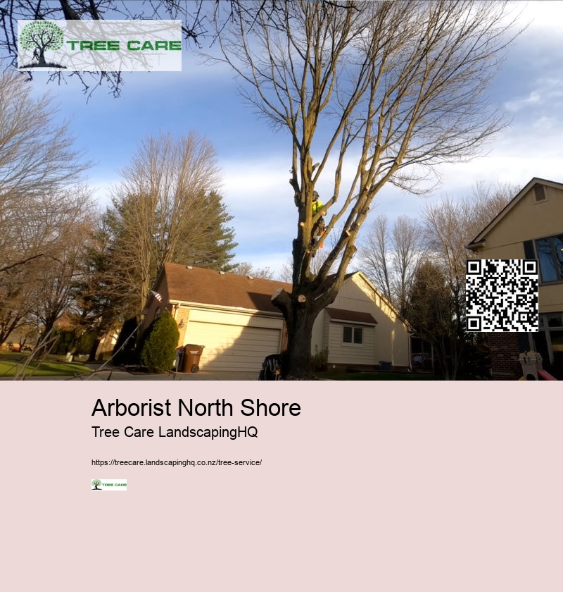 Arborist North Shore