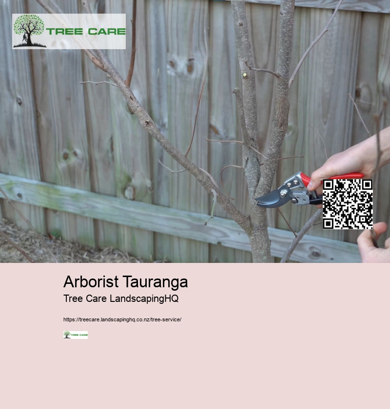 Arborist Tree Service Near Me