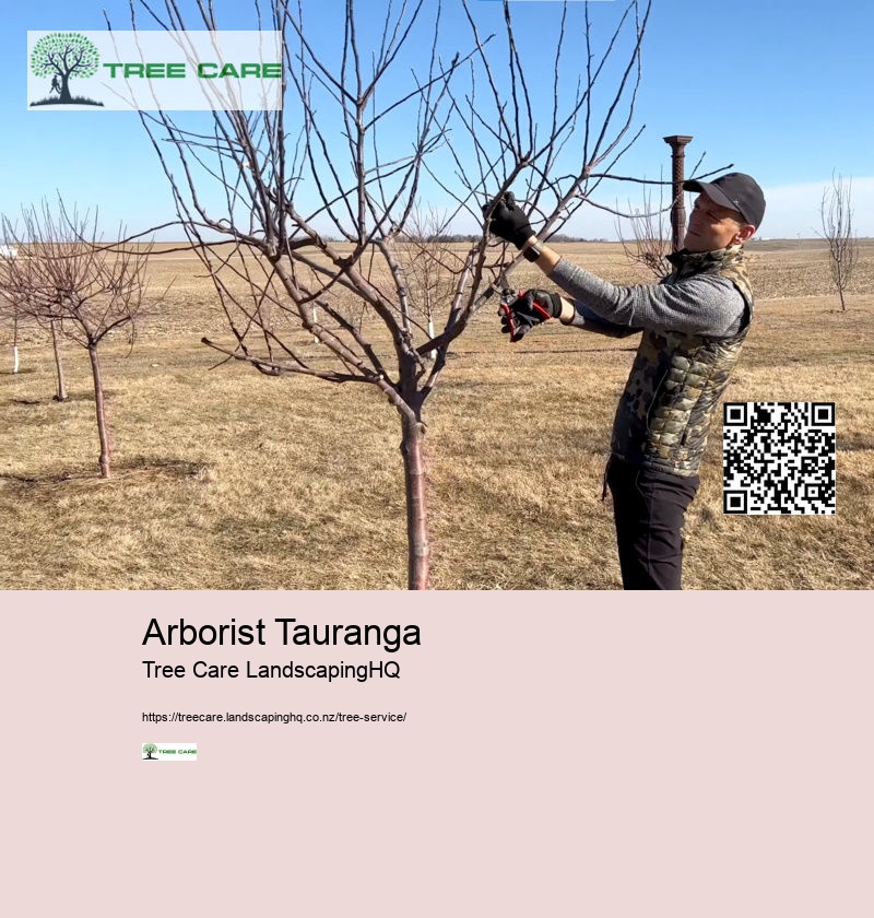 Arborist Tauranga