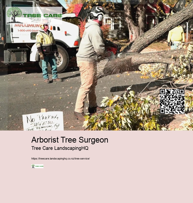 Arborist Tree Surgeon