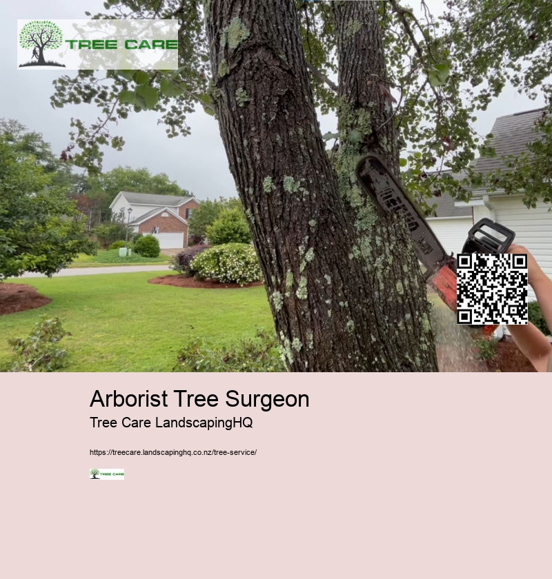 Arborist Costs NZ