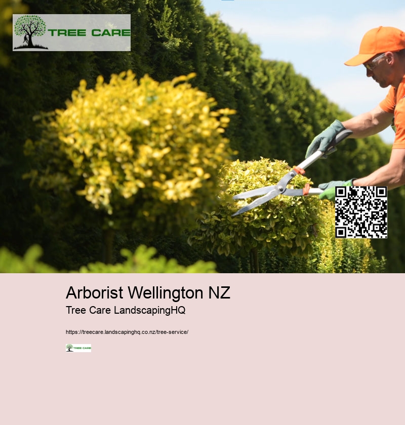 Arborist Wellington NZ