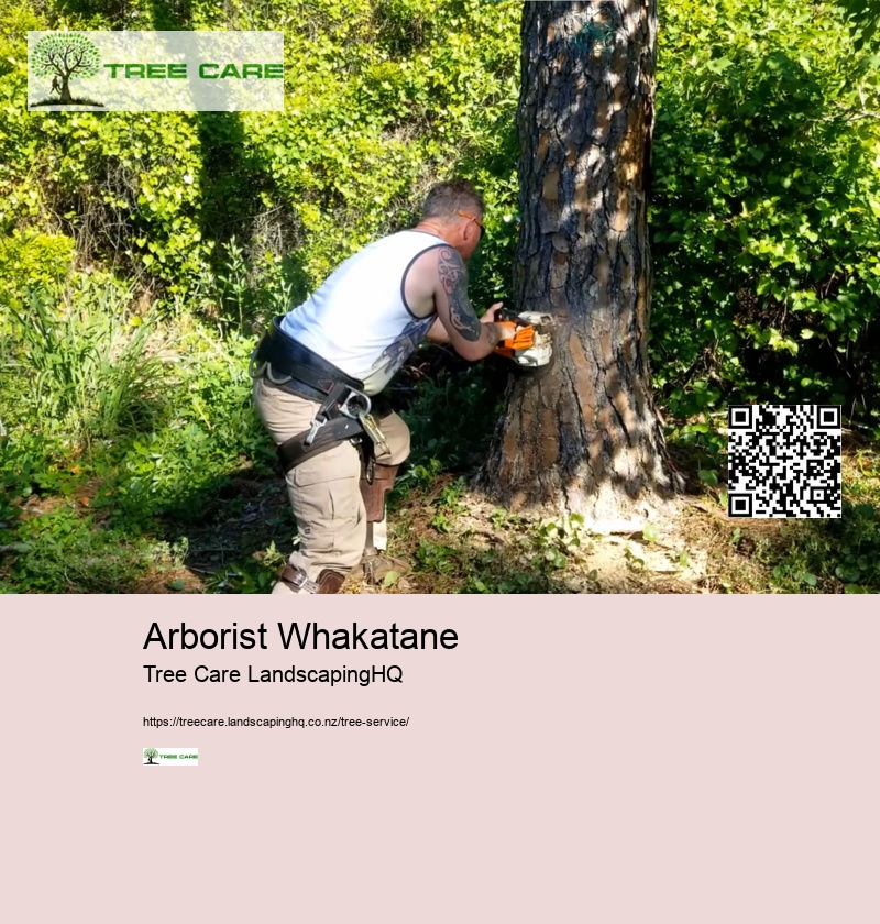 Arborist Rotorua