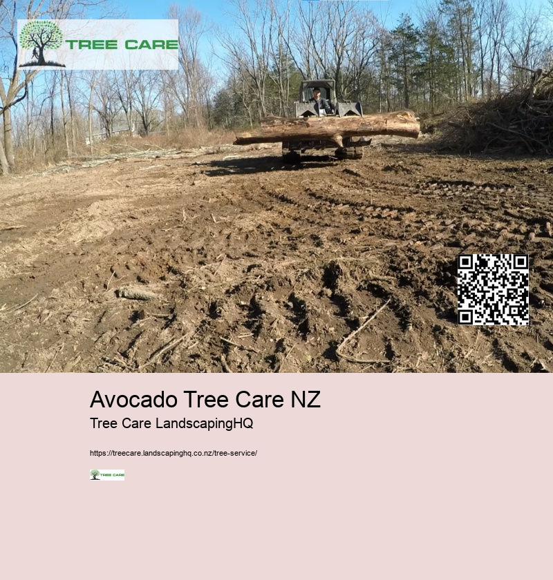 Avocado Tree Care NZ