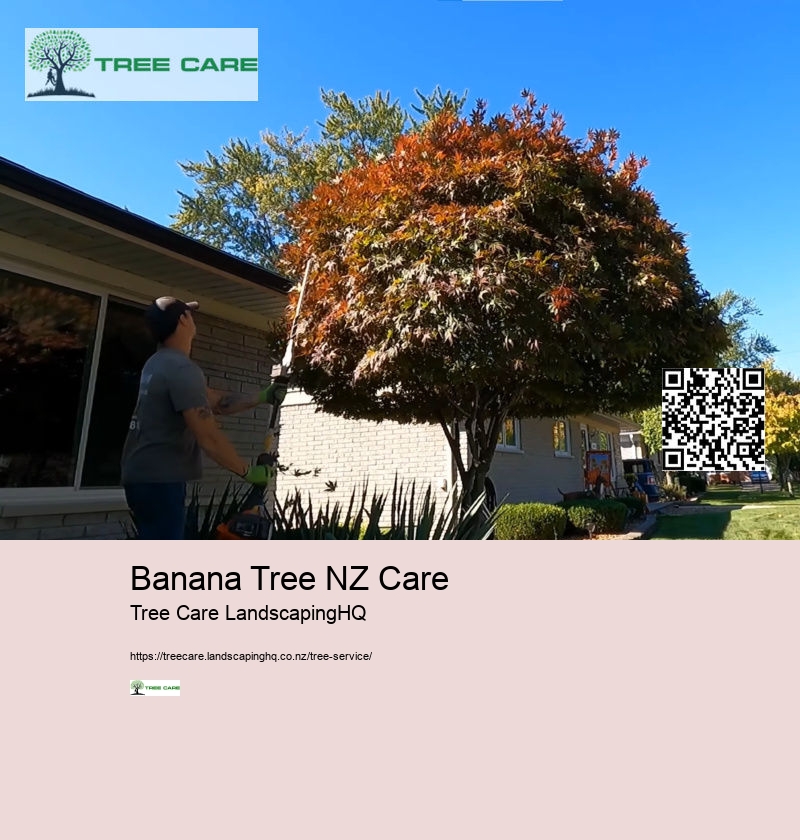 Arborist NZ