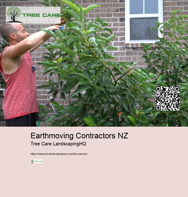 Arborist Hamilton New Zealand