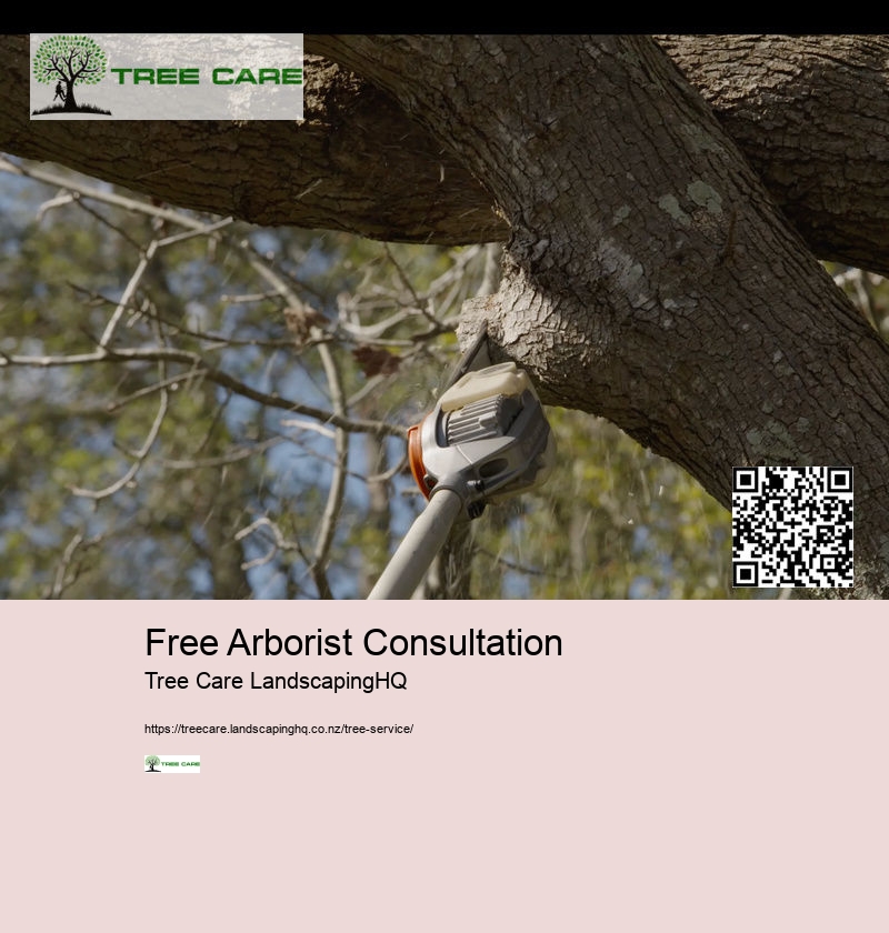 Arborist Hastings NZ