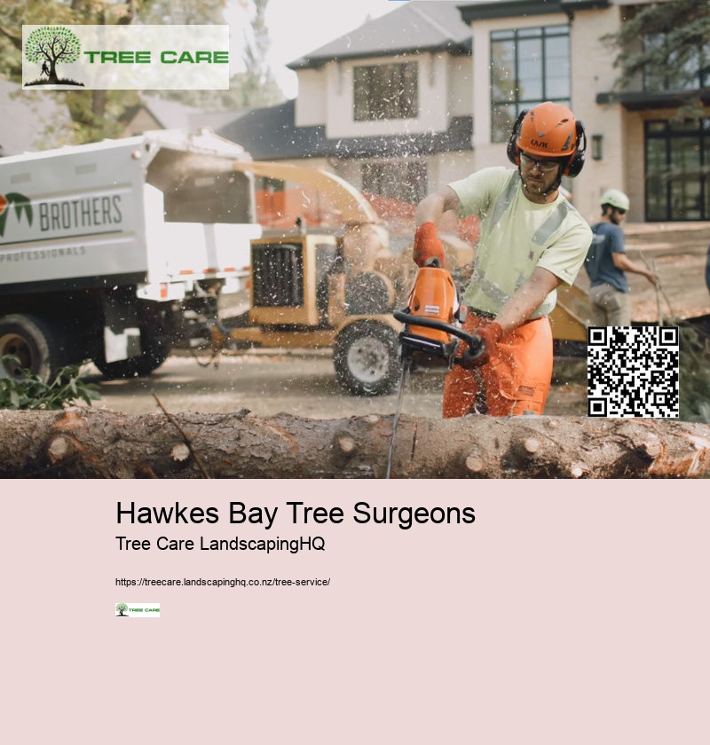 Hawkes Bay Tree Surgeons