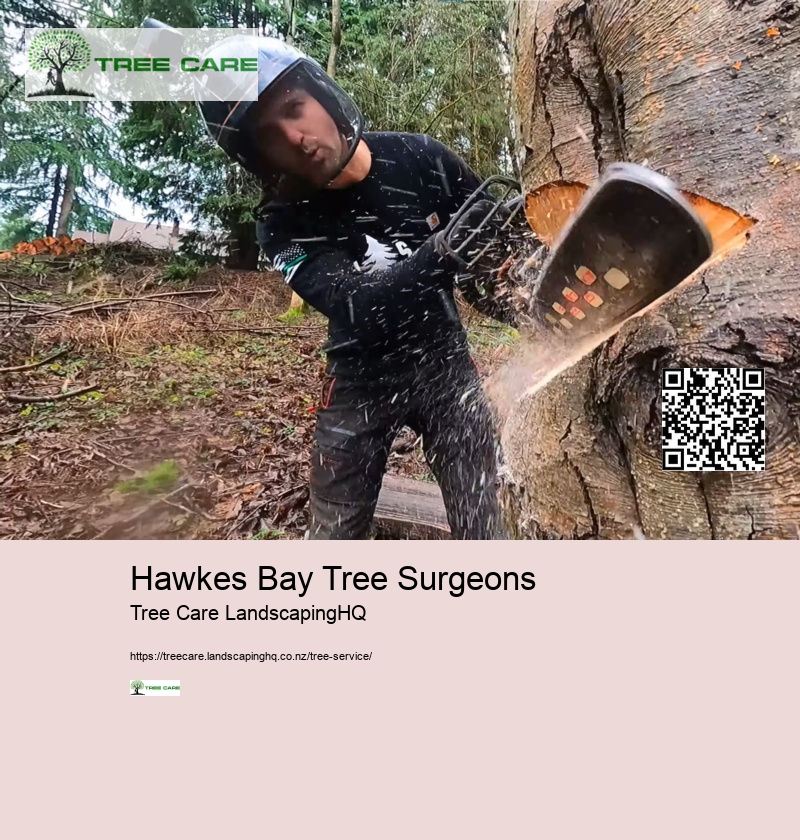 Hawkes Bay Tree Surgeons