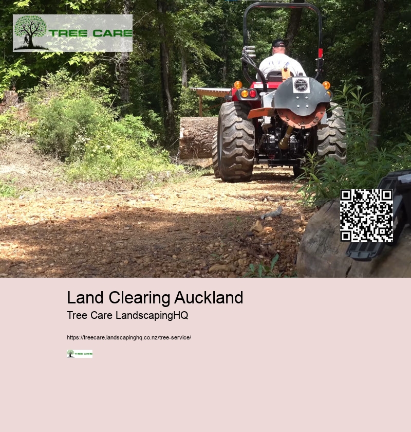 Stump Grinding Hamilton NZ