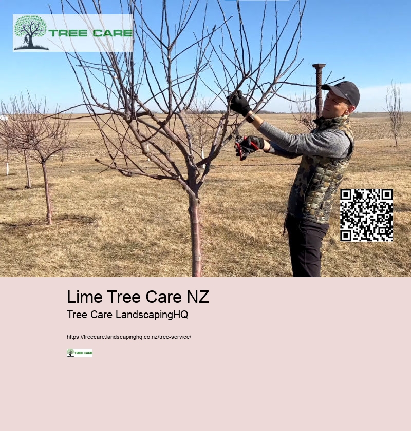 Arborist In Nelson NZ