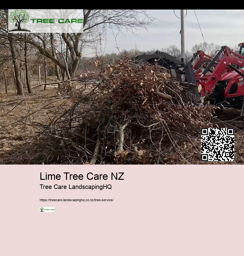 Lemon Tree Care NZ