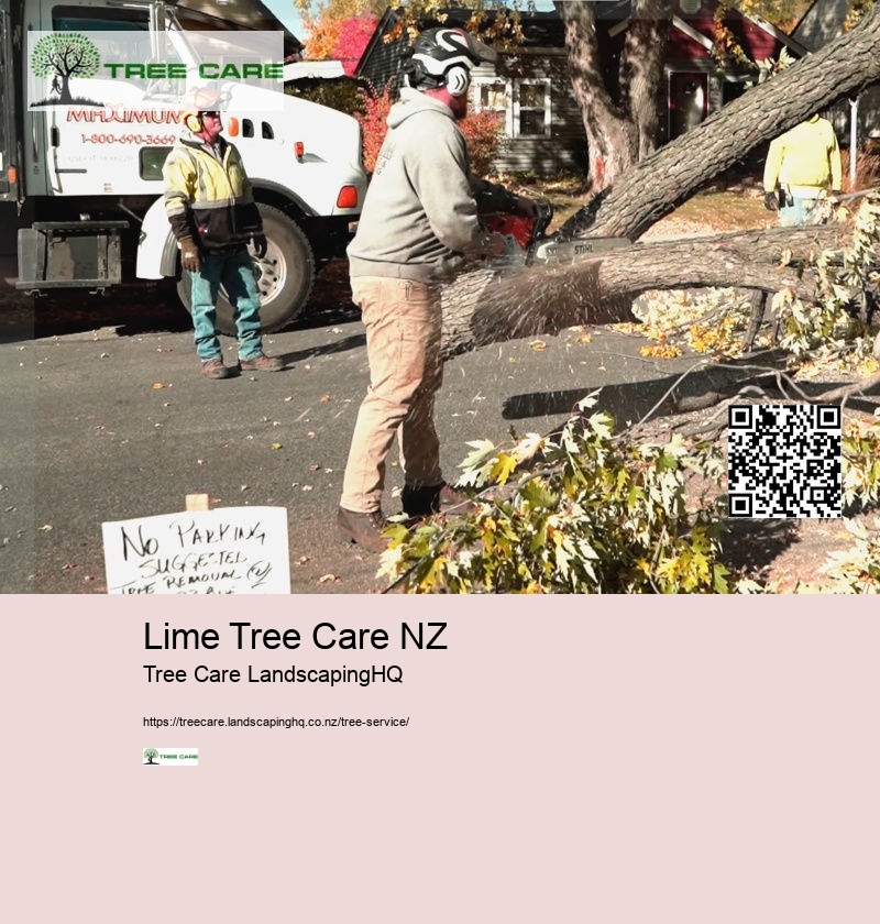 Lime Tree Care NZ