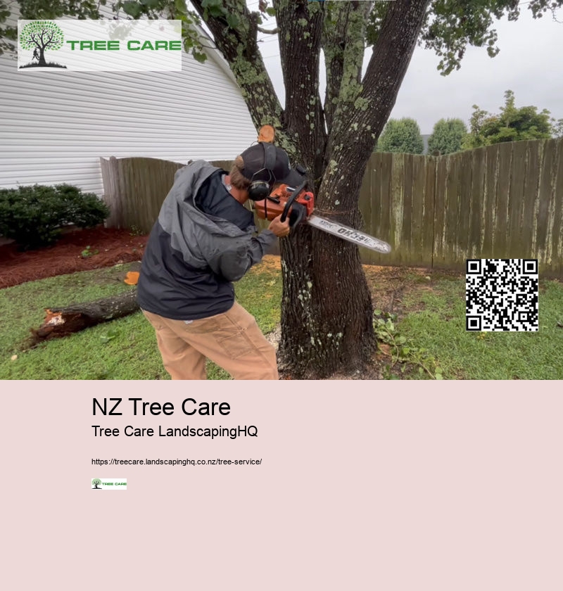 Tree Removal Dunedin