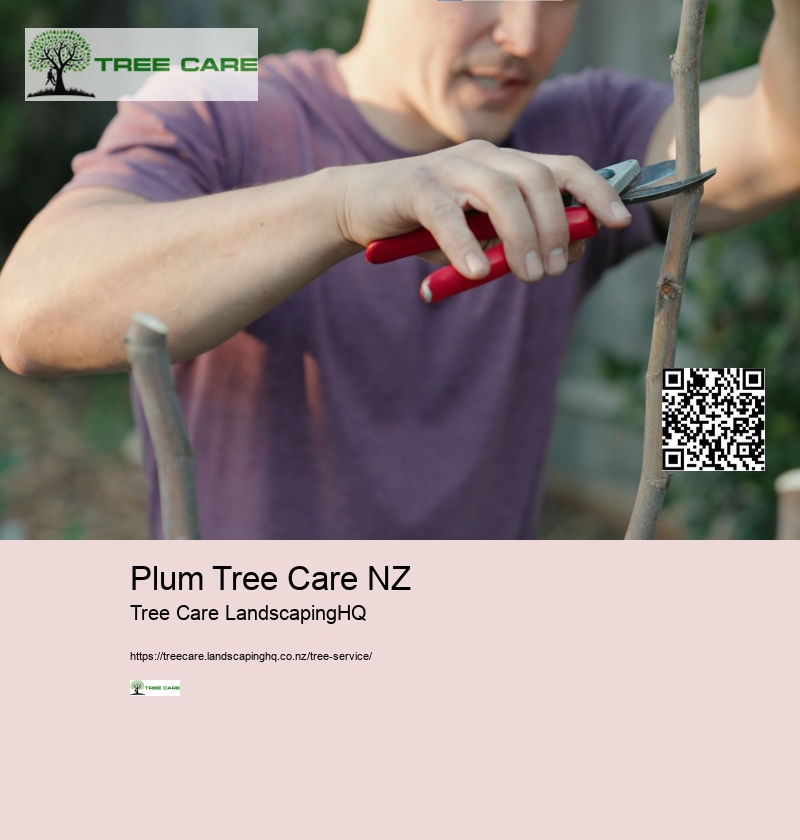 Tree Service Auckland