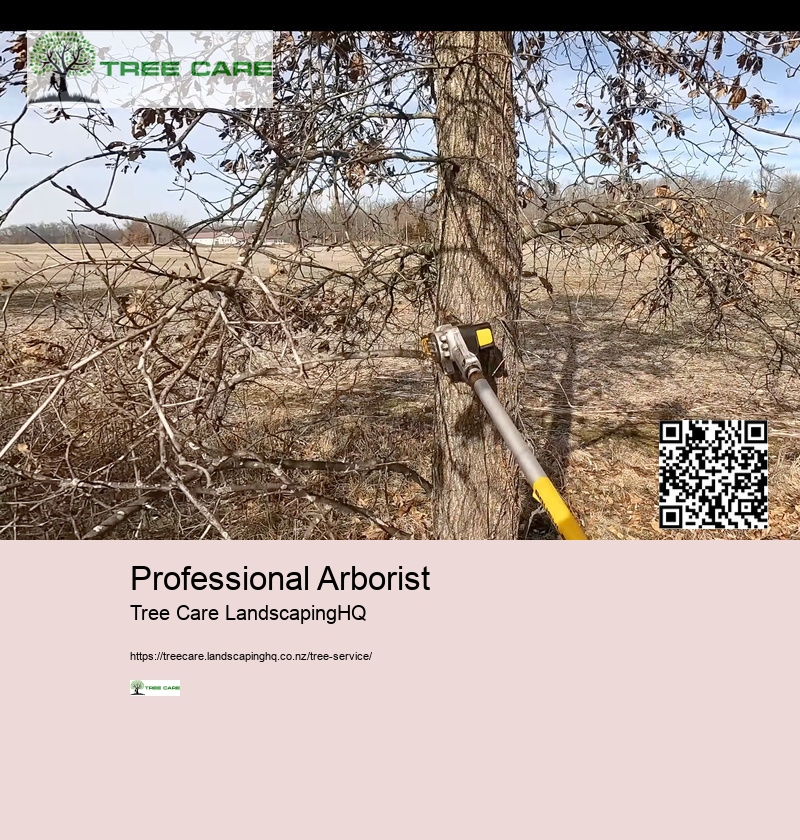 Professional Arborist