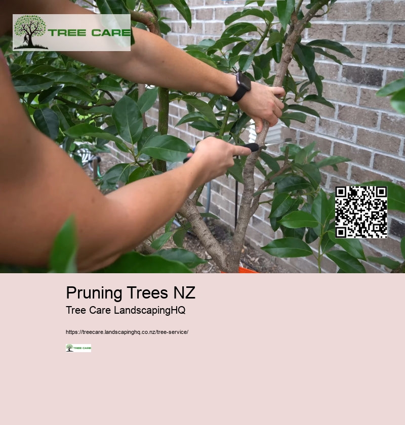 Tree Trimming Lower Hutt