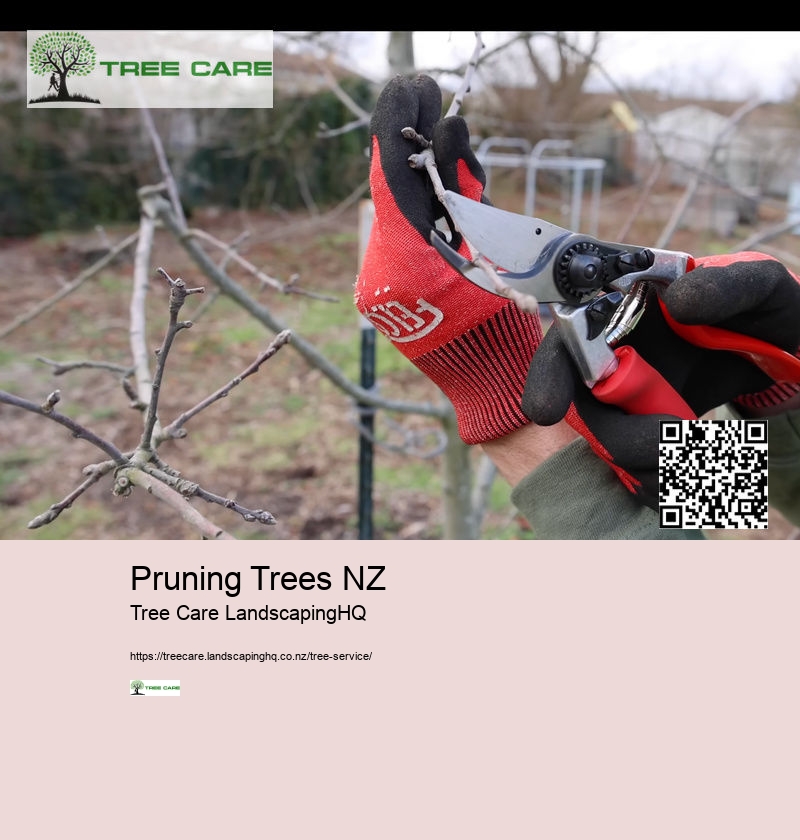 Pruning Trees NZ